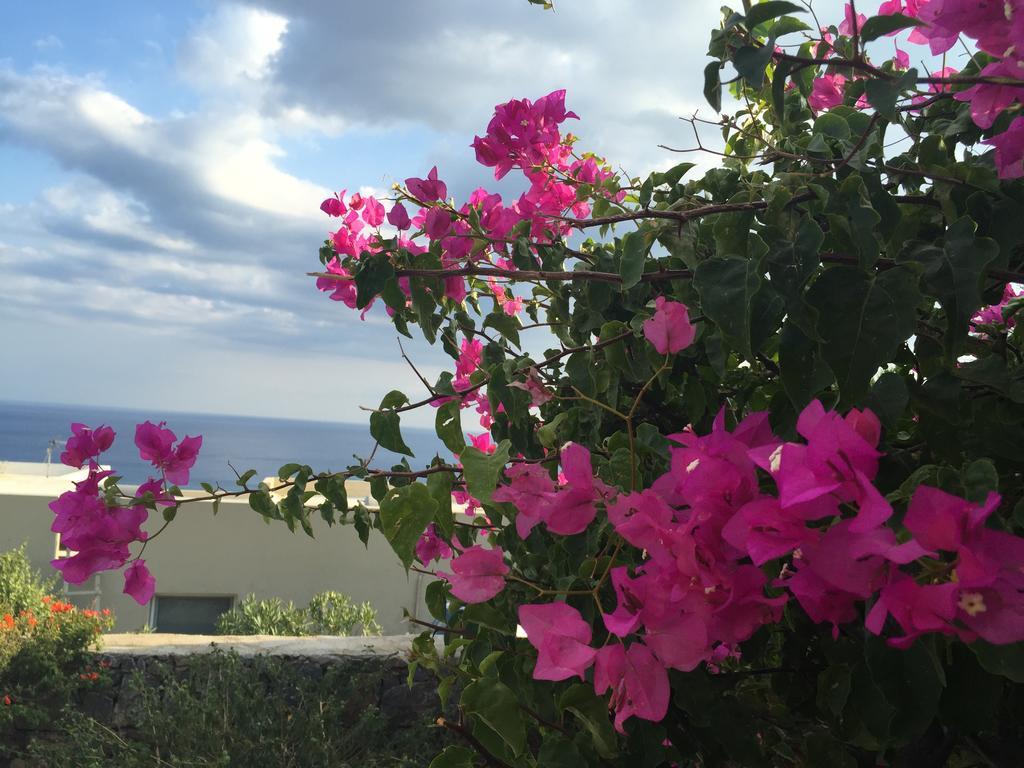 Nakou Village Κουτσουνάρι Εξωτερικό φωτογραφία